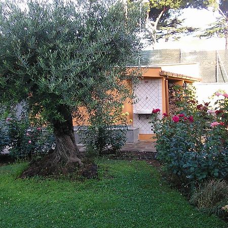 Al Vecchio Olivo Bed & Breakfast Frascati Exterior foto
