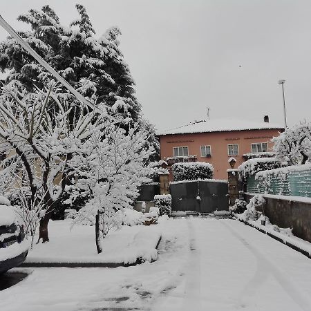 Al Vecchio Olivo Bed & Breakfast Frascati Exterior foto