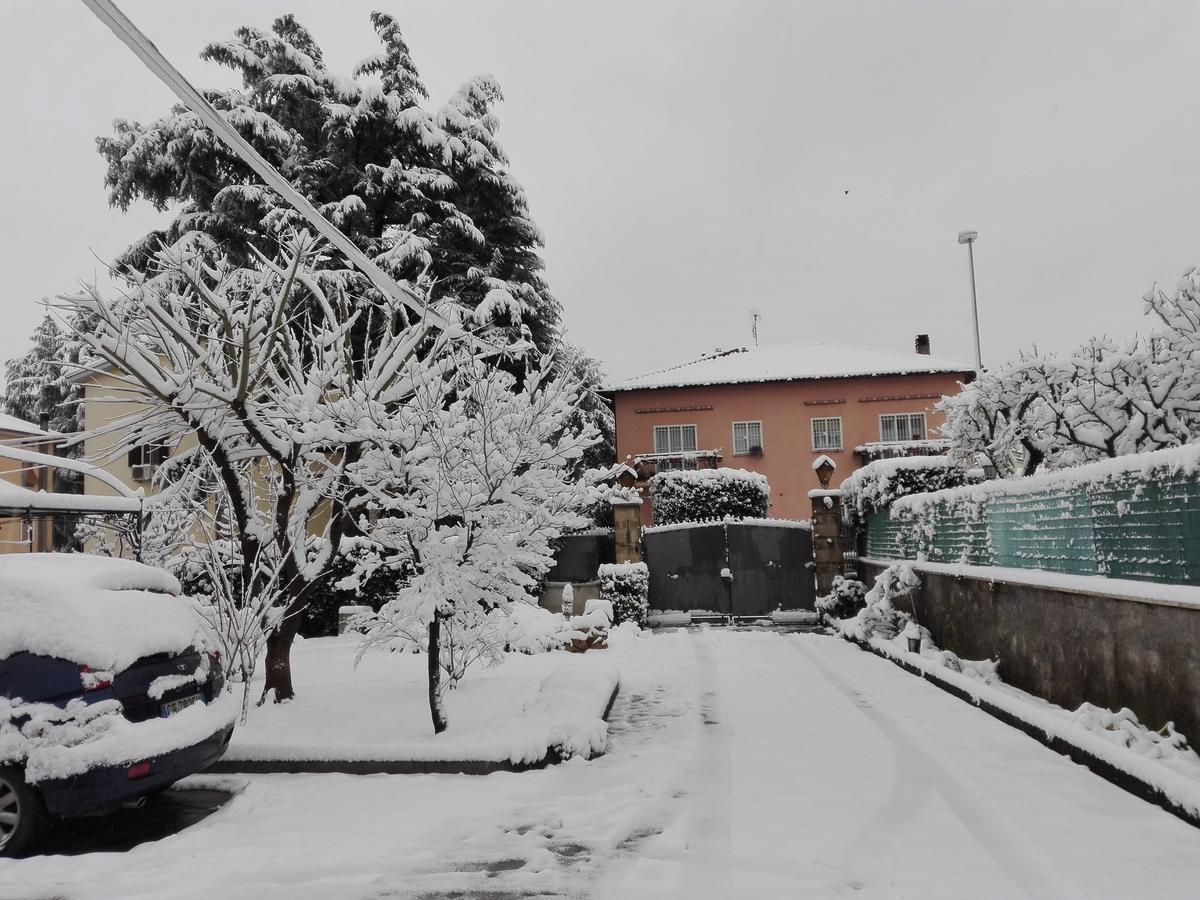 Al Vecchio Olivo Bed & Breakfast Frascati Exterior foto