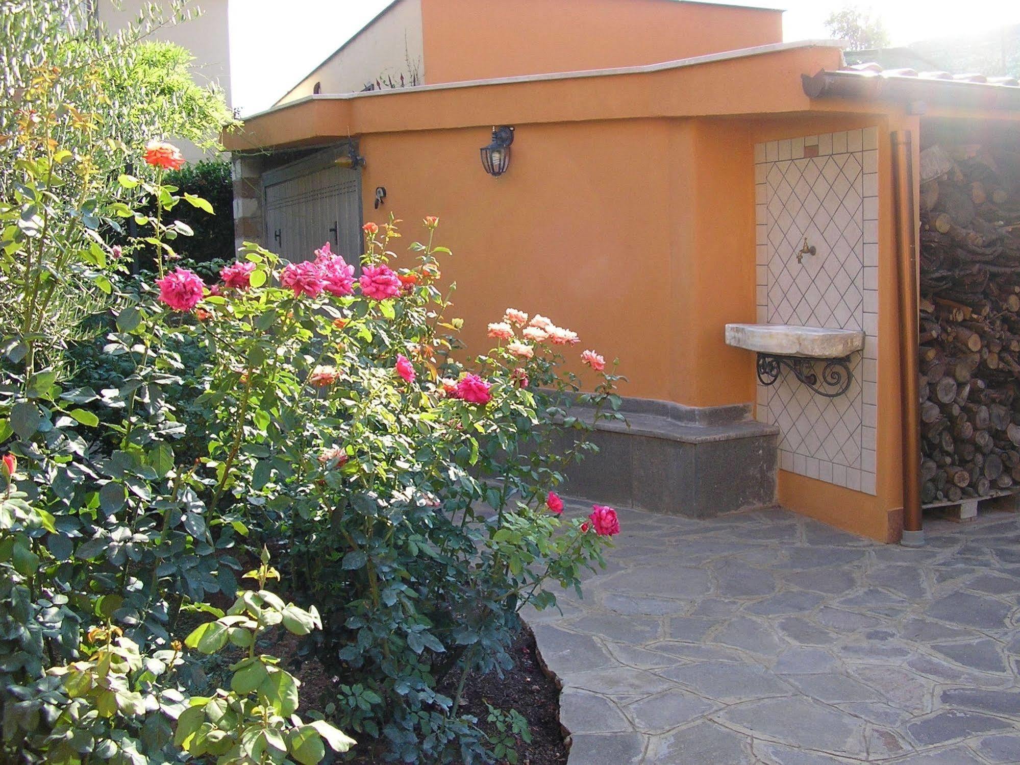 Al Vecchio Olivo Bed & Breakfast Frascati Exterior foto