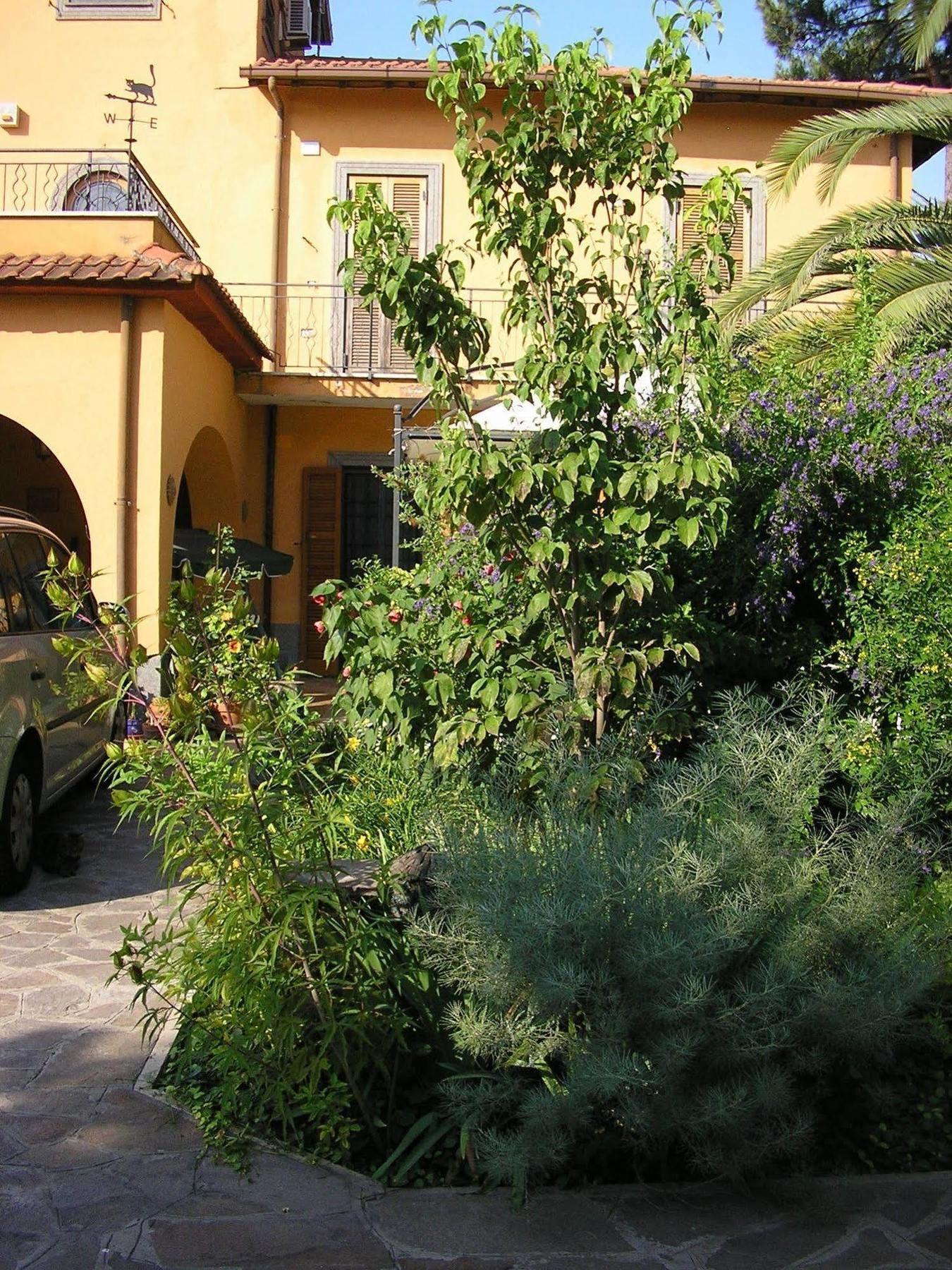 Al Vecchio Olivo Bed & Breakfast Frascati Exterior foto
