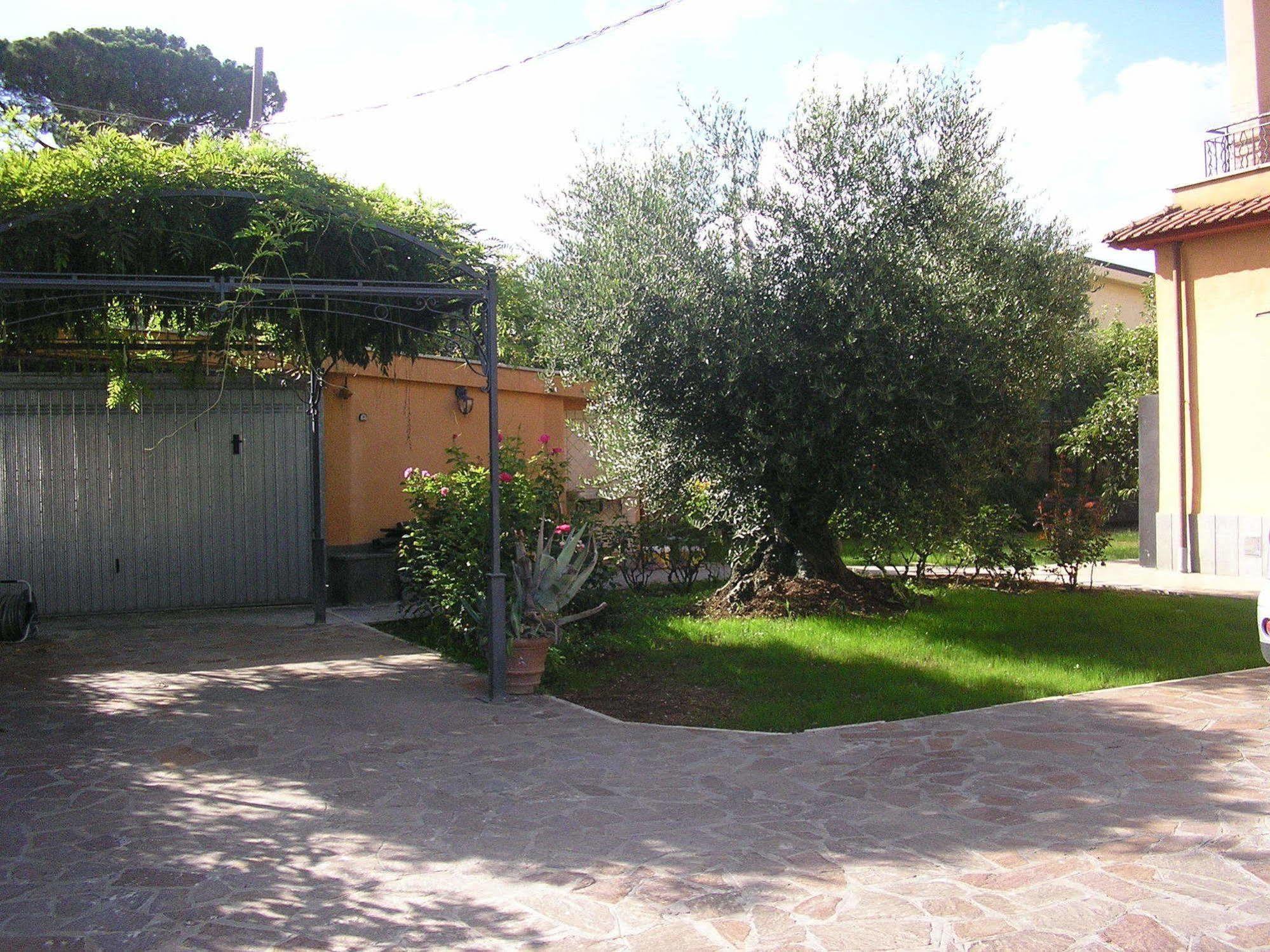Al Vecchio Olivo Bed & Breakfast Frascati Exterior foto
